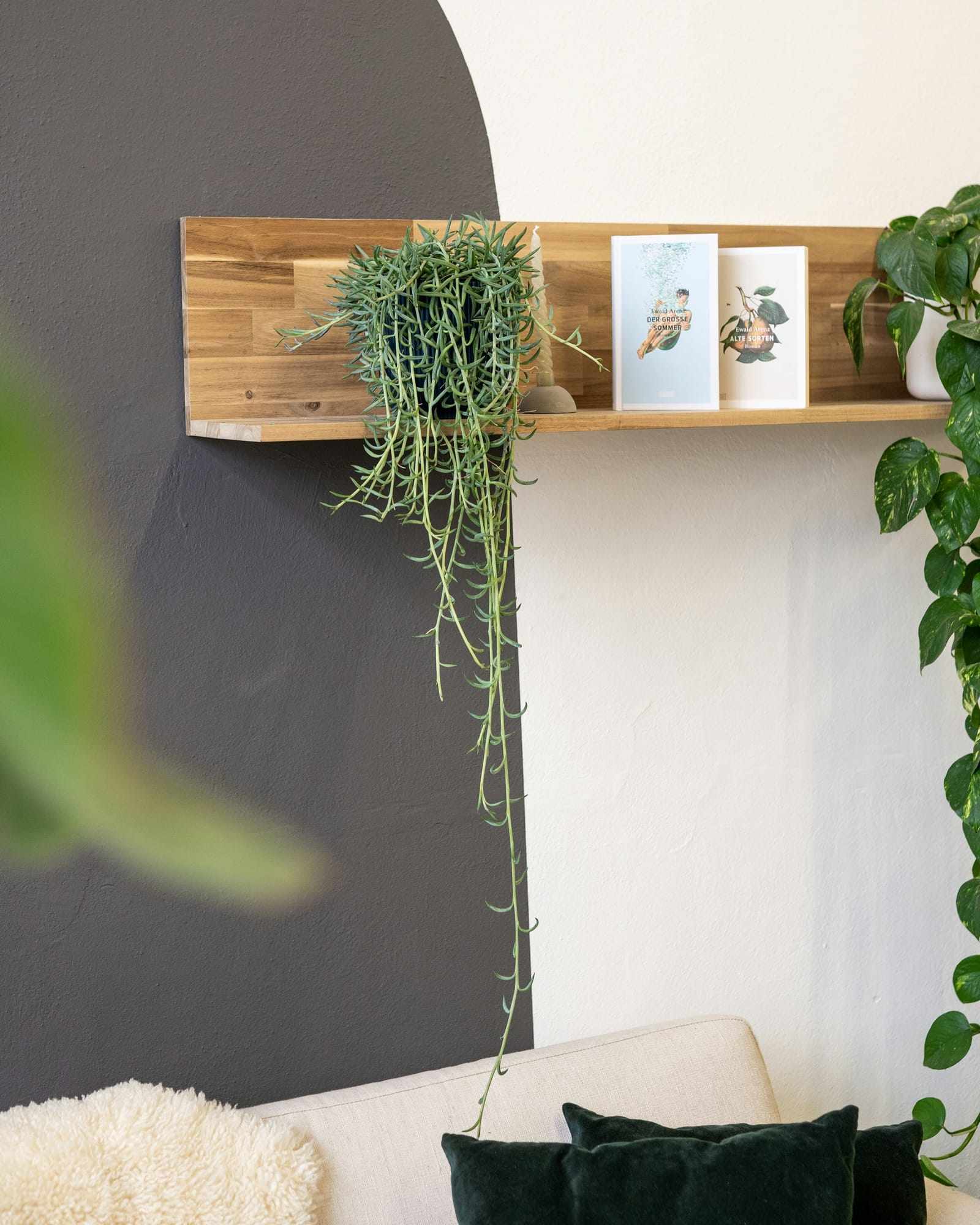 A wooden shelf with trailing plants